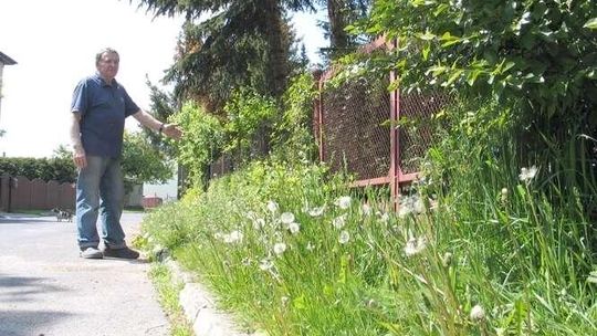 Kosili pas drogowy przez 20 lat. Okazało się, że w ten sposób wyręczali miejskie służby