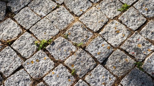 Kostka brukowa na lata. Dlaczego zakup materiału i budowę podjazdu warto zlecić jednej firmie?