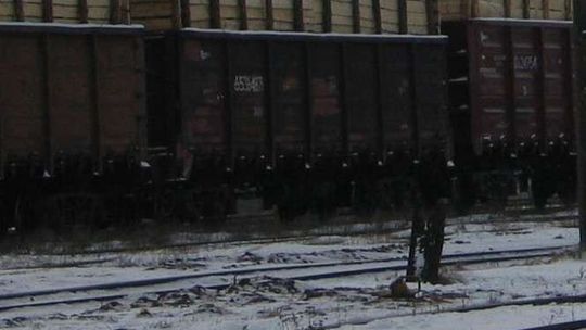 Kostka granitowa i 344 kg haszyszu w wagonie kolejowym. Transport z Polski