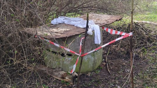 Kot wpadł do studni. Pomogli mu strażacy z Wierzbicy