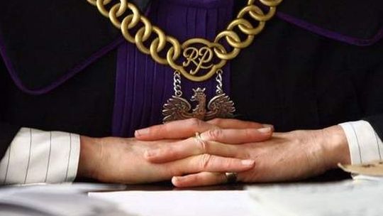 Kotka cierpiała, a właściciel to nagrywał. Teraz odpowie przed sądem