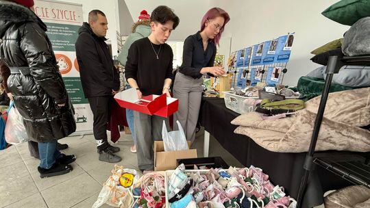 Koty w centrum uwagi. Światowy Dzień Kota w lubelskim schronisku