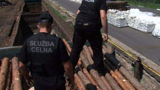 Kowalewo: Przemyt papierosów w drewnie