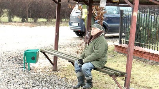 Kraczewice: Psy rozszarpały kobietę na przystanku