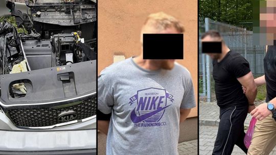 Kradli w kilku województwach. Dziupla zlikwidowana