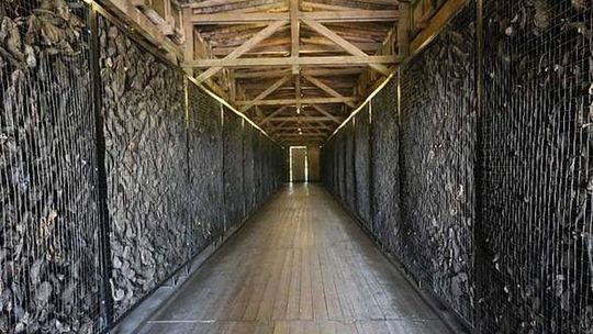 Kradzież butów zmarłych więźniów z muzeum na Majdanku