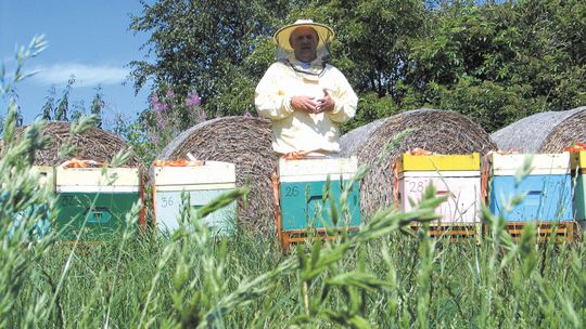 Kradzież uli z pszczelimi rodzinami. Czy zrobił to doświadczony pszczelarz?