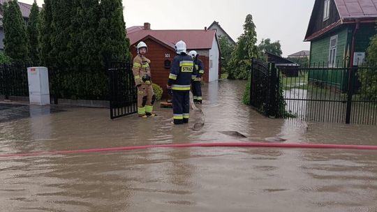 Krajobraz po burzy. Ponad 230 interwencji w regionie, większość w Zamościu