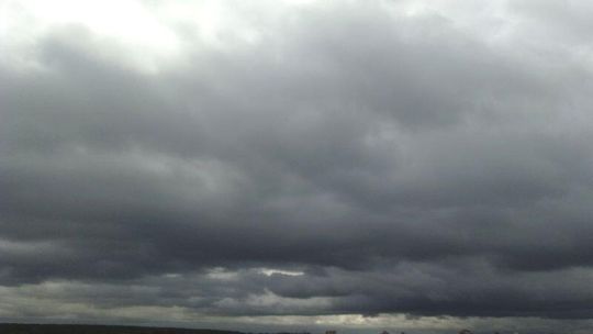 Krajobraz po burzy: Pozrywane dachy i powalone drzewa