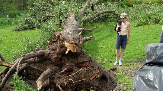 Krajobraz po nawałnicy w Piaskach. Pozrywane dachy i straty w uprawach