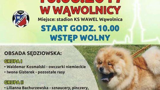  Krajowa Wystawa Psów Rasowych w Wąwolnicy
