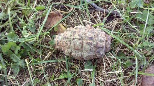 Kraśnik. Chłopiec bawił się z psem koło domu i wrócił z granatem