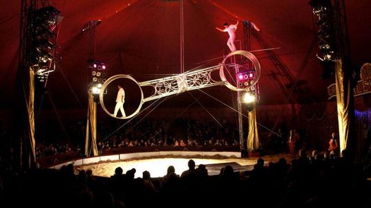 Kraśnik: Cyrk przyjedzie do miasta