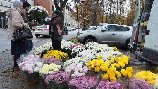 Kraśnik: Miasto pomoże lokalnym sprzedawcom. Kupi od nich żywe kwiaty