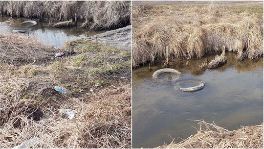Kraśnik przyłącza się do ogólnopolskiej akcji. Będą sprzątać rzekę Wyżnica