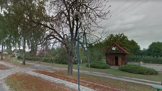 Krasnobród. Chcą wyciąć trzy pomniki przyrody