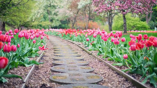 Krasnobród: Powstanie ogród sensoryczny przy szkole w Majdanie Wielkim