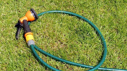 Krasnostawskie: Złodzieje kradną nawet węże