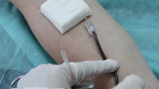 Krasnystaw: W urzędzie upuszczą krwi