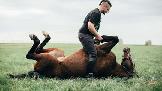 Kreatywni: 13 lubelskich przedsiębiorców w obiektywie