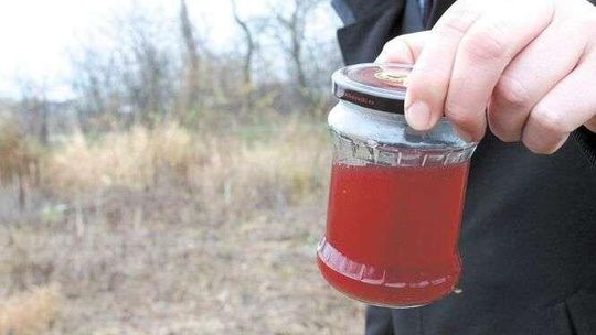 Krew i inne ścieki z ubojni popłynęły do rzeki. Prokuratura uznała, że to nic poważnego