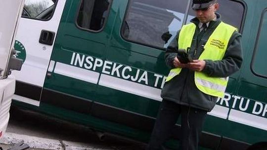 Krokodylki otworzyły drzwi. ITD odpowiadała na pytania