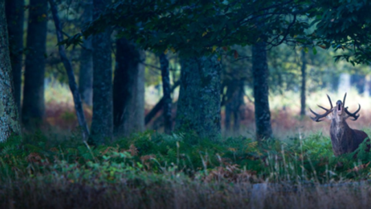 „Królestwo” w Centrum Kultury w Lublinie