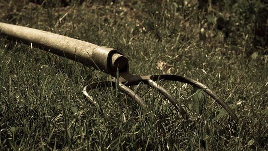 Krwawy finał sąsiedzkiego konfliktu. Chciała wyjaśnić nieporozumienie z widłami w ręku