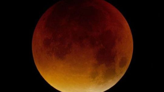 Krwawy olbrzym na nocnym niebie. Zaćmienie Księżyca - zdjęcia Czytelników