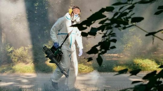 Krwiopijcom śmierć! Dzisiaj odkomarzanie w Lublinie i nie tylko