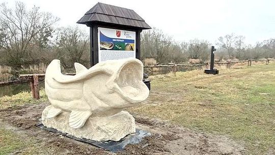 Kryłów: Można już zwiedzać ruiny zamku. Prace kosztowały 1,5 mln zł