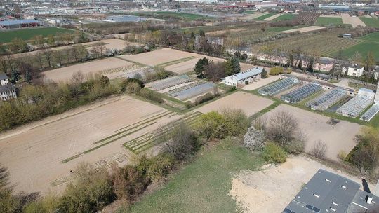 Kryta ujeżdżalnia i hipodrom powstaną na Felinie. Uczelnia planuje wycinkę 228 drzew