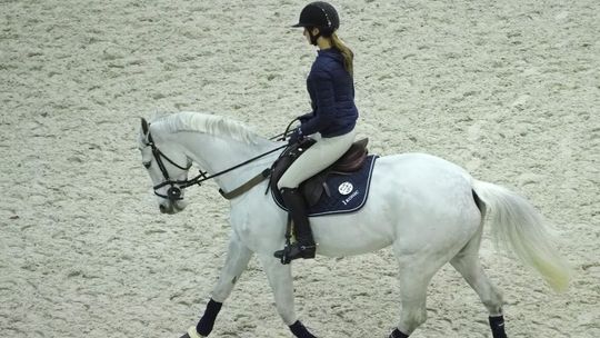 Kryta ujeżdżalnia i hipodrom powstanie w Lublinie. Będzie też zwierzętarnia z psami, alpakami i osłami