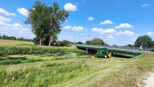 Krzna zarasta. Kosić nie było wolno przez ptaki 