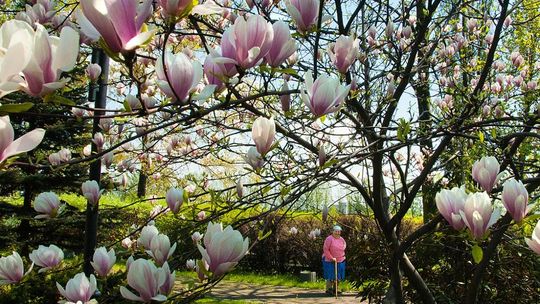 Krzysztof Gołuch i Paweł Tomczyk gośćmi Akademii Odkryć Fotograficznych