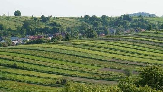 Kto jest właścicielem działki – jak to sprawdzić?