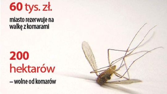 Kto się zajmie komarami w Lublinie? Ratusz dostanie oferty