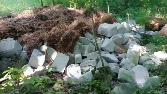 Kto śmieci w lesie koło Kozłówki? "To wstyd"