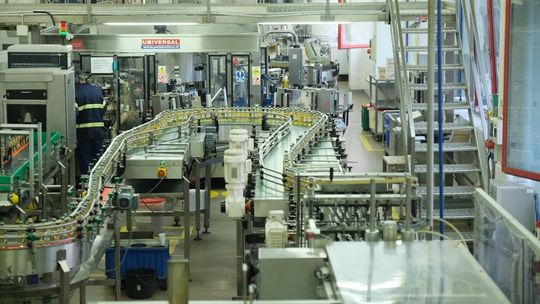 Kto w Polsce płaci największe podatki? Na liście firma z Lublina