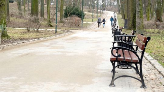 Kto zajmie się zielenią w Lublinie? Miasto ma problem, firmy za drogie