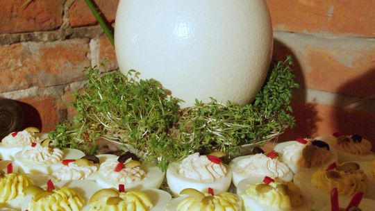 Od lat Polacy spierają się, który z dostępnych w handlu majonezów jest najlepszy - ten produkowany w Kielcach czy może ten z Kalisza.