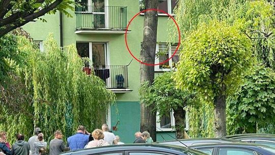 Ktoś chce zarobić na „cudzie w Parczewie”. Liść za 60 złotych