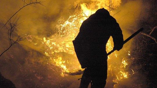 Ktoś podpalił las podczas święta strażaków. Wójt: 2 tys. zł nagrody za informację