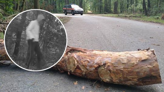 Ktoś układał konary drzew na środku dróg w Lasach Kozłowieckich. Leśnicy zainstalowali kamery