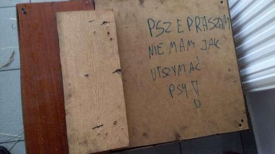 Ktoś upchnął psy w skrzynki zrobione z mebli. Podrzucił je pod bramę schroniska