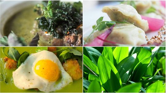 Kuchnia pachnąca ogrodem. Przepisy na wiosenne dania na sobotni i niedzielny stół