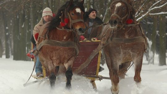 Kulig nad Zalewem Zemborzyckim (zdjęcia)