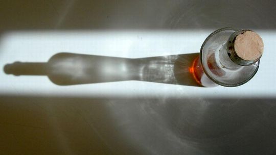 Kulinarna Mapa Lubelszczyzny: Radość pigwowania