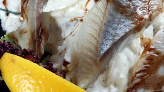 Kulinarna Mapa Lubelszczyzny: Śledzik lubi pływać