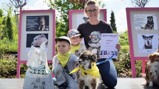 Kundelki Lublina i Schroniska wybrane. Zwyciężyły Mania i Ramzes [zdjęcia]